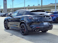 2024 Alfa Romeo Stelvio Quadrifoglio Carbon