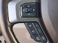 2019 Ford Super Duty F-250 SRW Limited